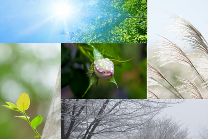 A｜季節から読む薬膳